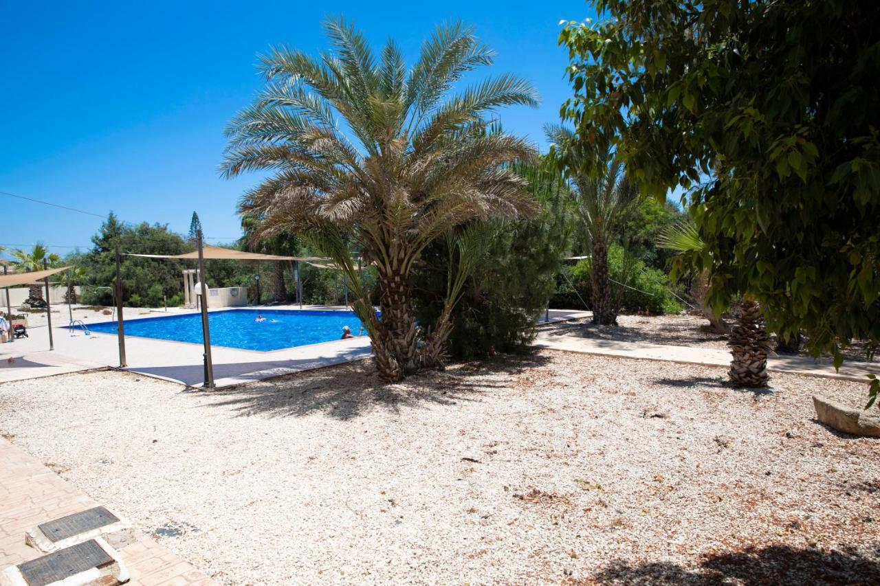 Marcelia Napa Suites Ayia Napa Eksteriør billede